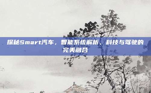 探秘Smart汽车,智能系统解析,科技与驾驶的完美融合