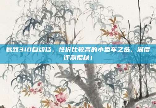 标致310自动挡,性价比较高的小型车之选,深度评测揭秘!