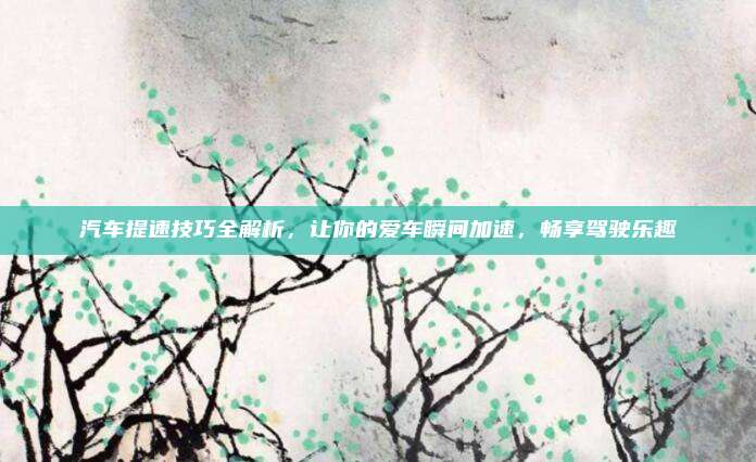 汽车提速技巧全解析,让你的爱车瞬间加速,畅享驾驶乐趣