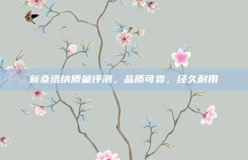 新桑塔纳质量评测,品质可靠,经久耐用