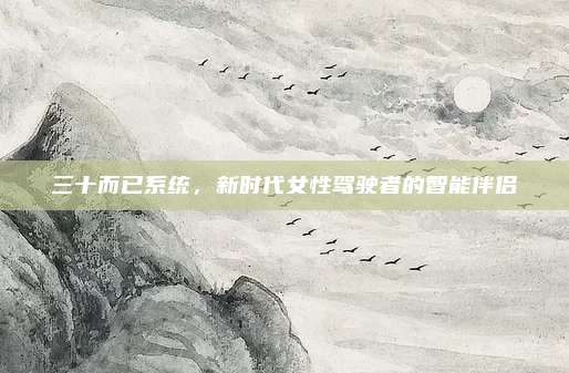 三十而已系统,新时代女性驾驶者的智能伴侣