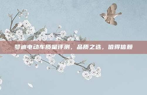 梦迪电动车质量评测,品质之选,值得信赖