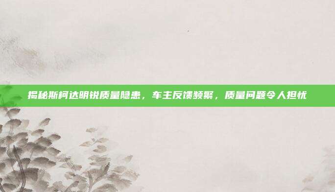 揭秘斯柯达明锐质量隐患,车主反馈频繁,质量问题令人担忧