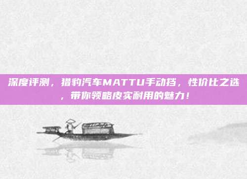 深度评测,猎豹汽车MATTU手动挡,性价比之选,带你领略皮实耐用的魅力!