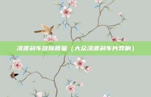凌渡刹车故障质量(大众凌渡刹车片异响)