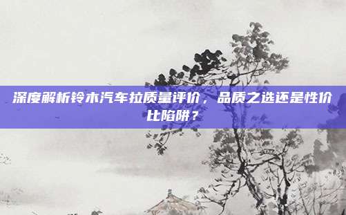 深度解析铃木汽车拉质量评价,品质之选还是性价比陷阱?