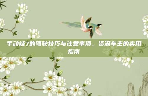 手动档7的驾驶技巧与注意事项,资深车主的实用指南