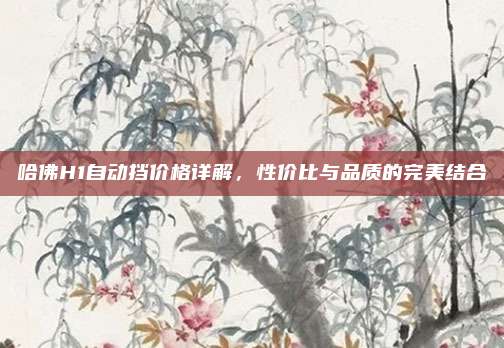 哈佛H1自动挡价格详解,性价比与品质的完美结合