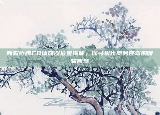 新款迈腾CD播放器位置揭秘,探寻现代商务座驾的储物智慧
