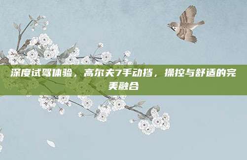 深度试驾体验,高尔夫7手动挡,操控与舒适的完美融合