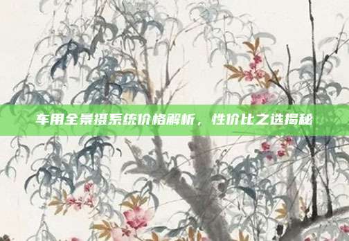 车用全景摄系统价格解析,性价比之选揭秘