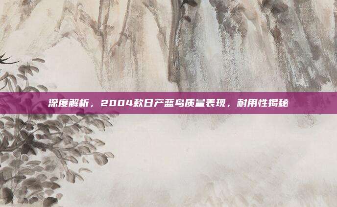 深度解析,2004款日产蓝鸟质量表现,耐用性揭秘