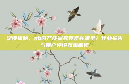 深度揭秘,nb国产质量究竟差在哪里?行业报告与用户评论双重解读