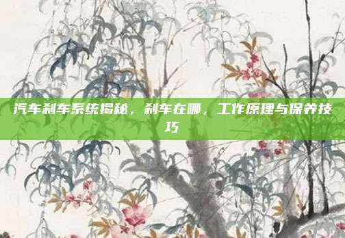 汽车刹车系统揭秘,刹车在哪,工作原理与保养技巧