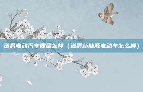 道爵电动汽车质量怎样（道爵新能源电动车怎么样）