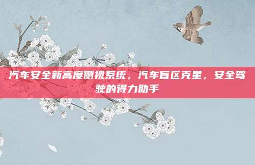 汽车安全新高度侧视系统,汽车盲区克星,安全驾驶的得力助手