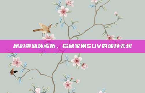 昂科雷油耗解析,揭秘家用SUV的油耗表现
