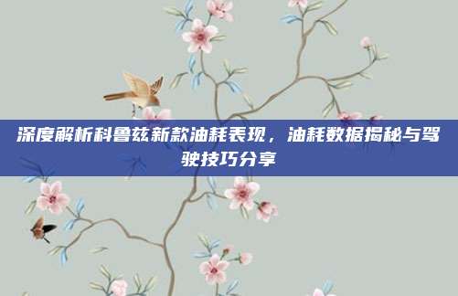 深度解析科鲁兹新款油耗表现,油耗数据揭秘与驾驶技巧分享