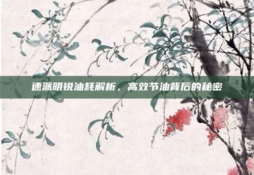 速派明锐油耗解析,高效节油背后的秘密
