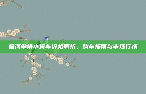 昌河单排小货车价格解析,购车指南与市场行情