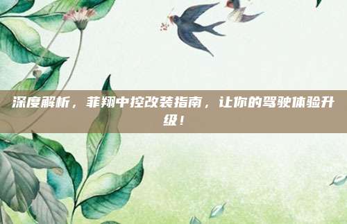 深度解析,菲翔中控改装指南,让你的驾驶体验升级!