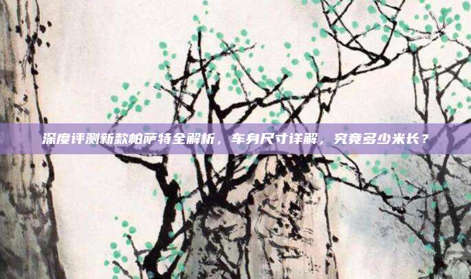 深度评测新款帕萨特全解析,车身尺寸详解,究竟多少米长?