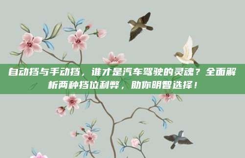 自动挡与手动挡,谁才是汽车驾驶的灵魂?全面解析两种挡位利弊,助你明智选择!