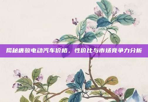 揭秘唐骏电动汽车价格,性价比与市场竞争力分析