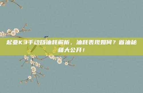 起亚K3手动挡油耗解析,油耗表现如何?省油秘籍大公开!