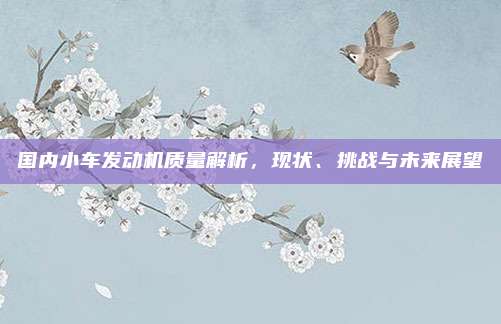 国内小车发动机质量解析,现状、挑战与未来展望
