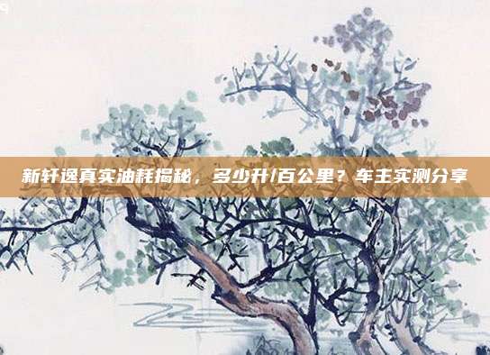 新轩逸真实油耗揭秘,多少升/百公里?车主实测分享