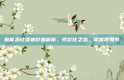 新能源比亚迪价格解析,性价比之选,您值得拥有