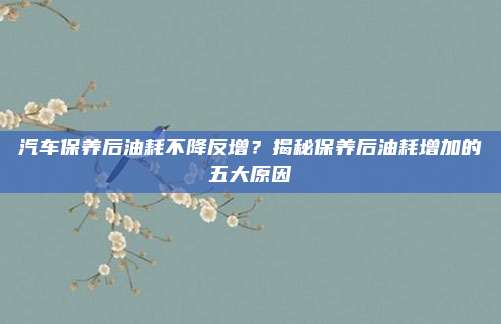 汽车保养后油耗不降反增?揭秘保养后油耗增加的五大原因