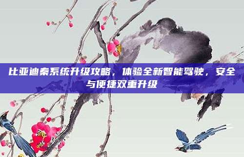 比亚迪秦系统升级攻略,体验全新智能驾驶,安全与便捷双重升级