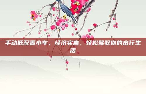 手动低配置小车,经济实惠,轻松驾驭你的出行生活