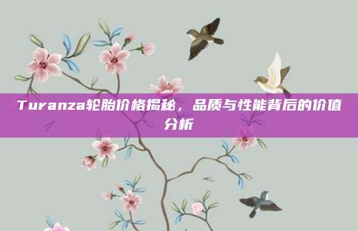 Turanza轮胎价格揭秘,品质与性能背后的价值分析