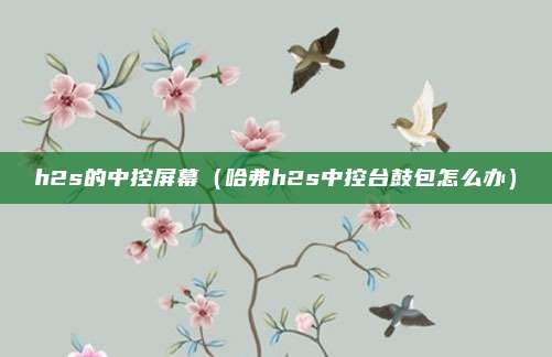 h2s的中控屏幕（哈弗h2s中控台鼓包怎么办）