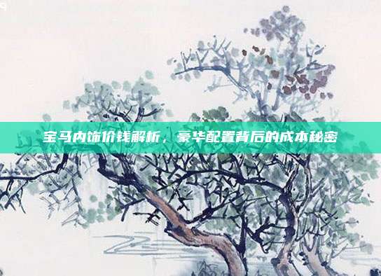 宝马内饰价钱解析,豪华配置背后的成本秘密