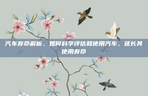 汽车寿命解析,如何科学评估和使用汽车,延长其使用寿命