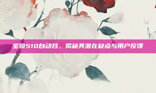 宝骏510自动挡,揭秘其潜在缺点与用户反馈