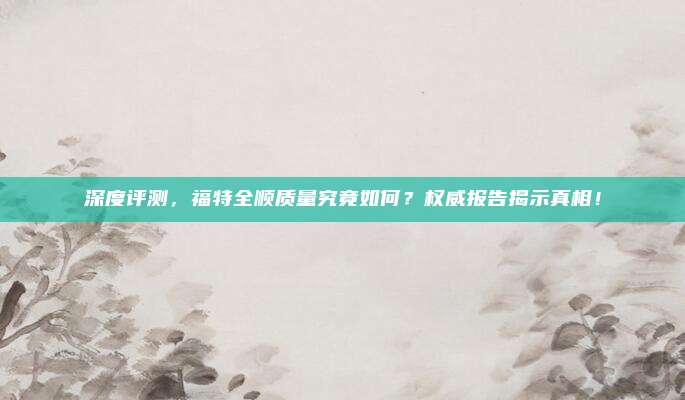 深度评测,福特全顺质量究竟如何?权威报告揭示真相!
