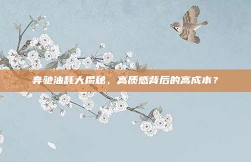 奔驰油耗大揭秘,高质感背后的高成本?