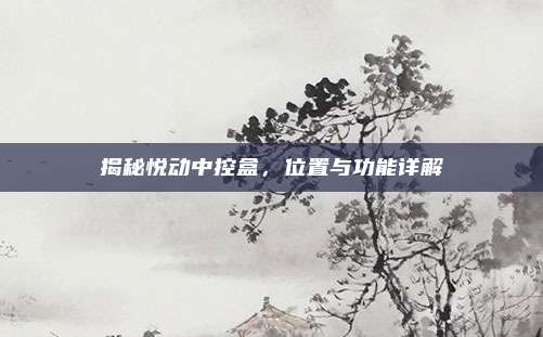 揭秘悦动中控盒,位置与功能详解