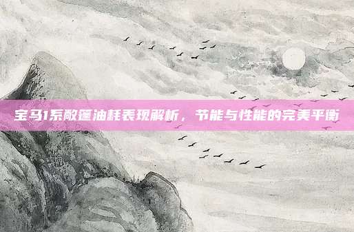 宝马1系敞篷油耗表现解析,节能与性能的完美平衡