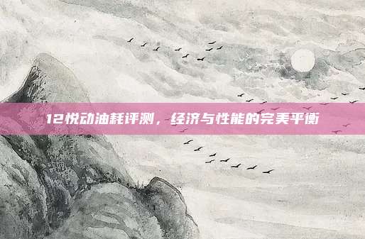 12悦动油耗评测,经济与性能的完美平衡