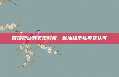普瑞斯油耗表现解析,省油经济性再获认可