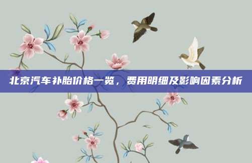北京汽车补胎价格一览,费用明细及影响因素分析