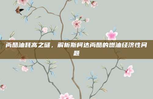 尚酷油耗高之谜,解析斯柯达尚酷的燃油经济性问题