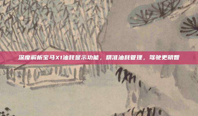 深度解析宝马X1油耗显示功能,精准油耗管理,驾驶更明智