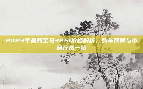 2023年最新宝马325i价格解析,购车预算与市场行情一览